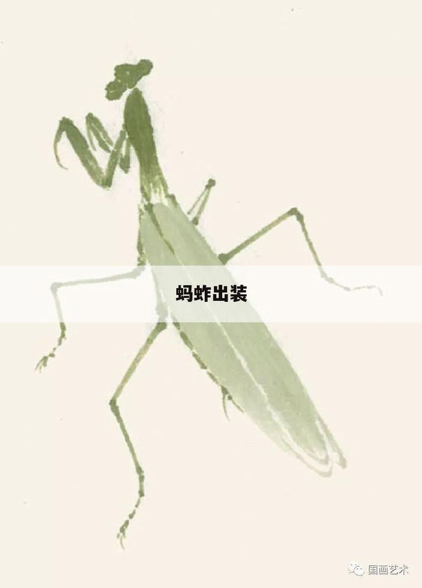 蚂蚱出装
