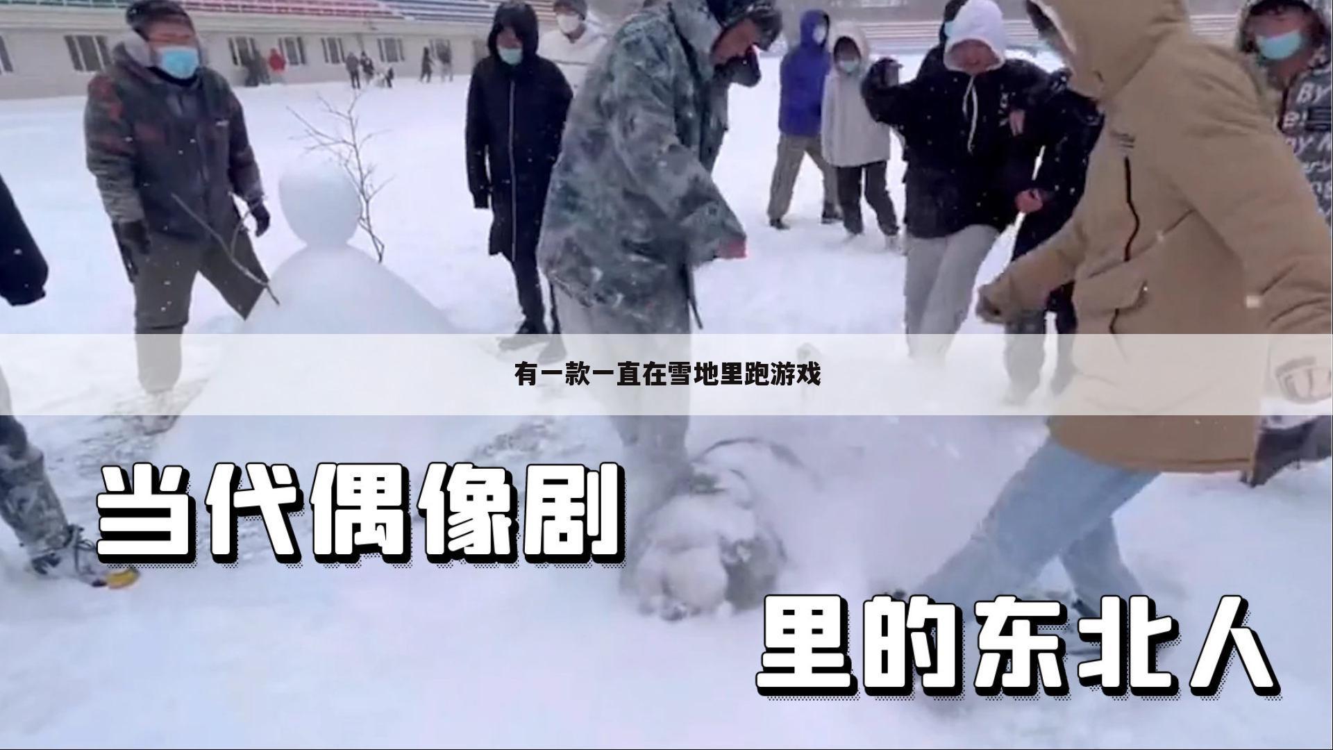 有一款一直在雪地里跑游戏
