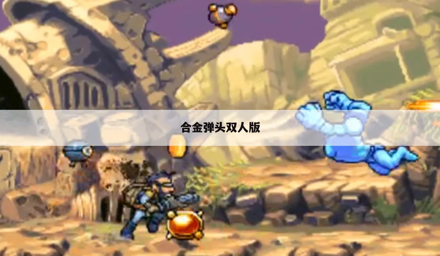 合金弹头双人版