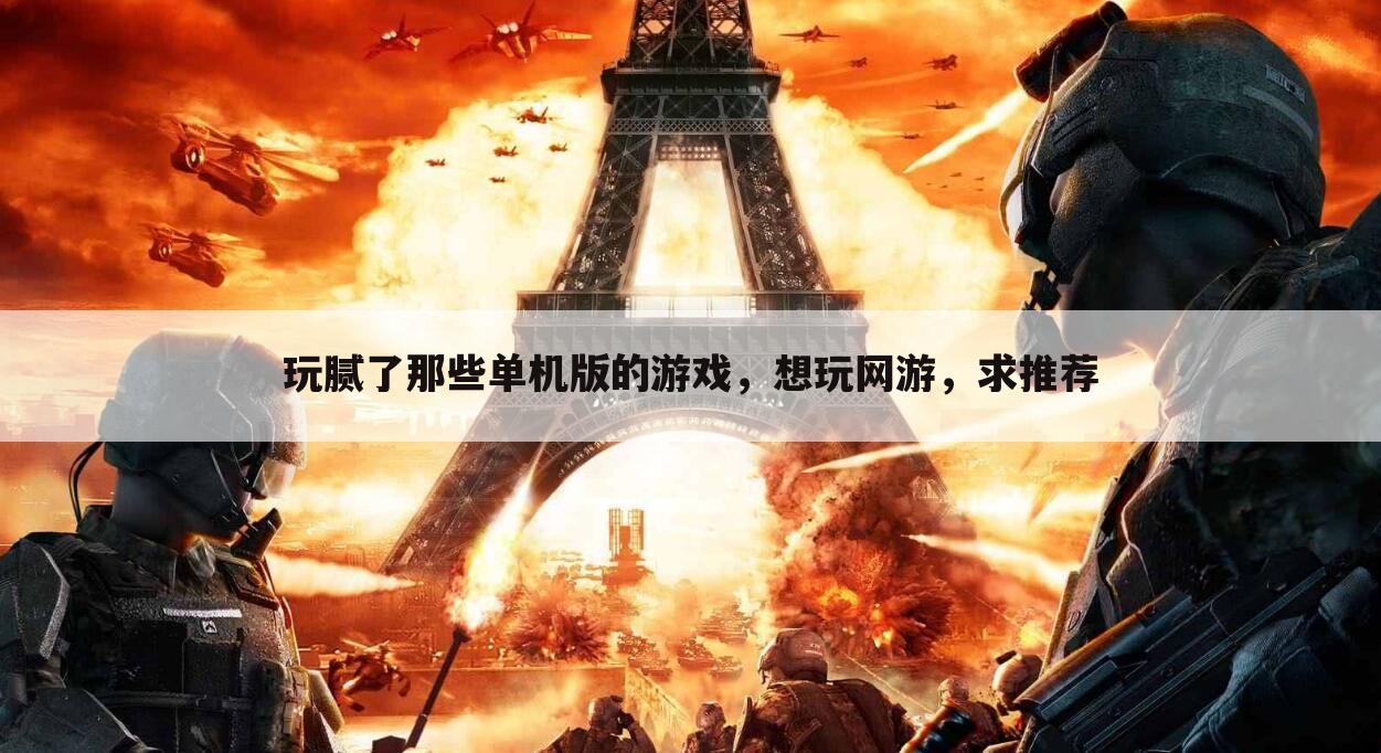 玩腻了那些单机版的游戏,想玩网游,求推荐
