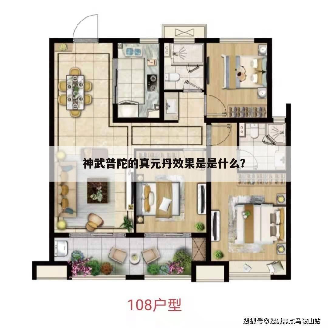 神武普陀的真元丹效果是是什么?