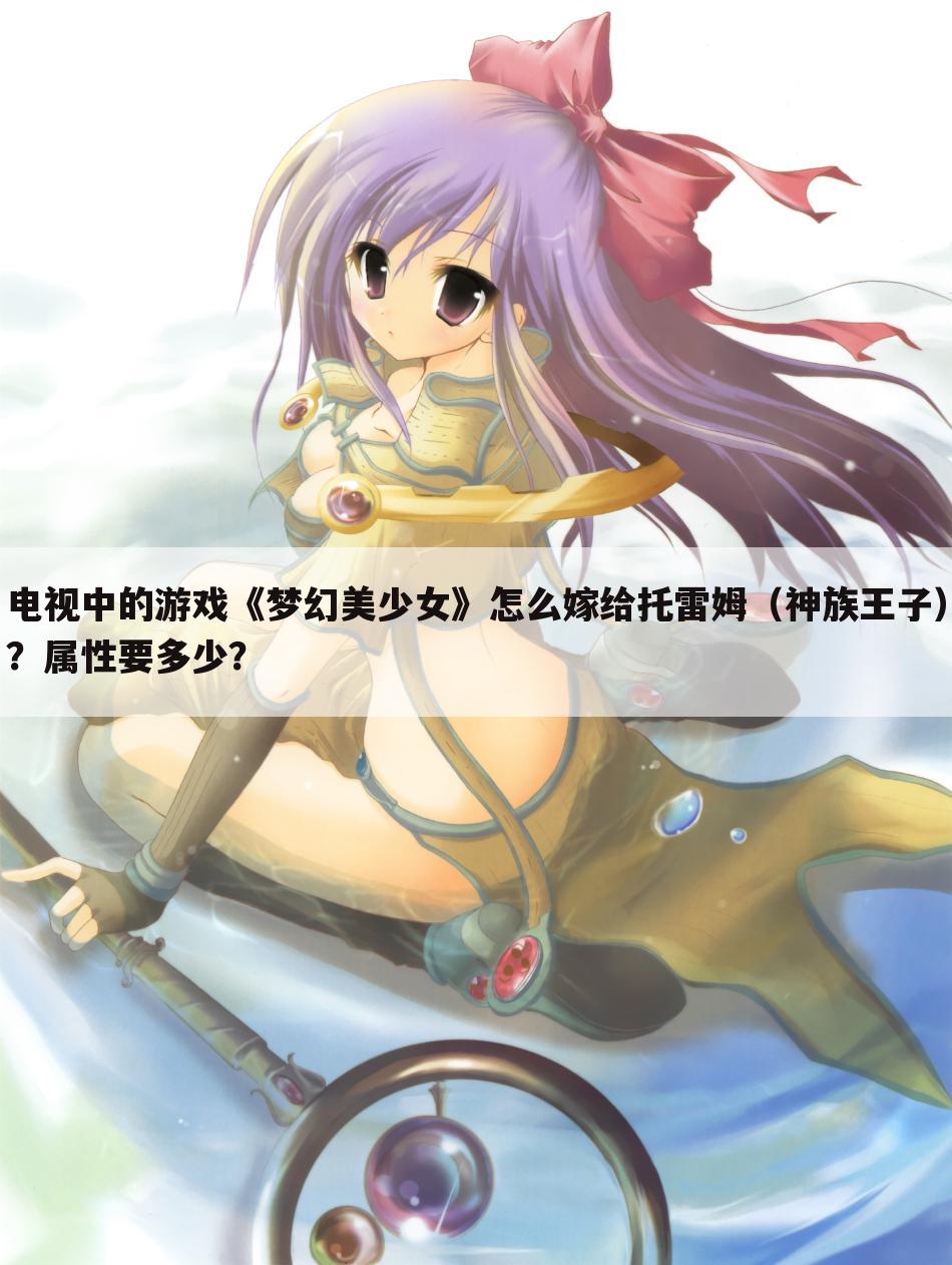 电视中的游戏《梦幻美少女》怎么嫁给托雷姆(神族王子)?属性要多少?