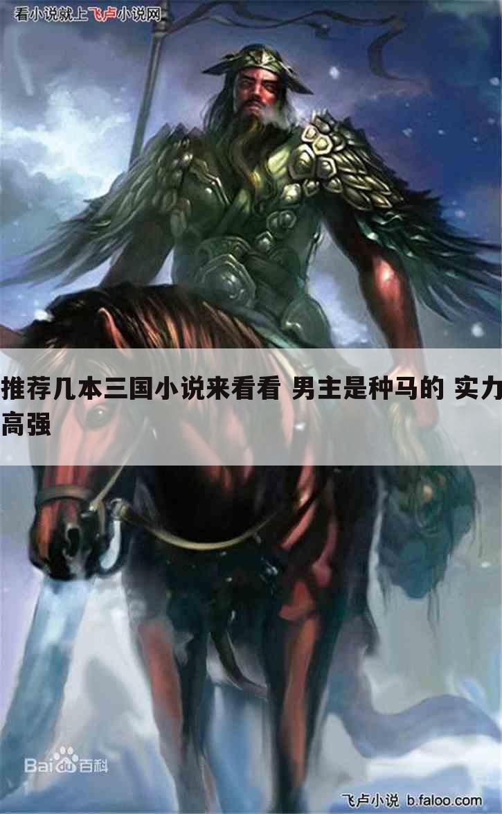推荐几本三国小说来看看 男主是种马的 实力高强