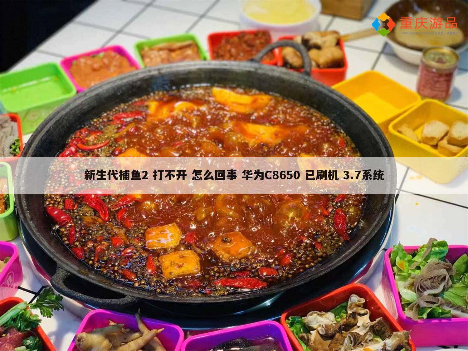 新生代捕鱼2 打不开 怎么回事 华为C8650 已刷机 3.7系统