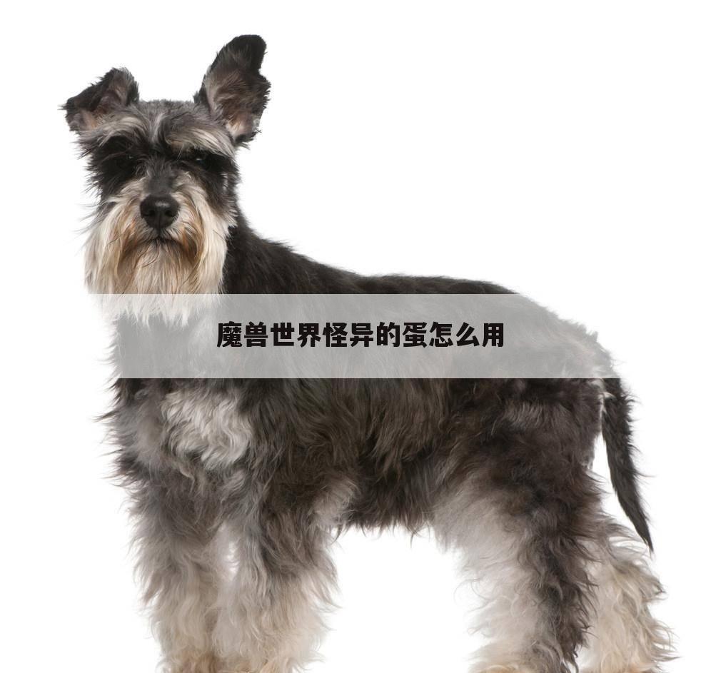 魔兽世界怪异的蛋怎么用