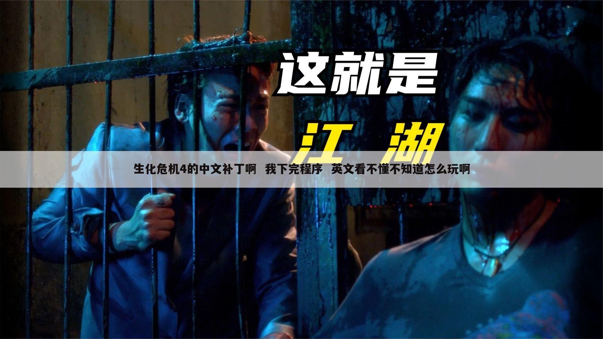 生化危机4的中文补丁啊  我下完程序  英文看不懂不知道怎么玩啊