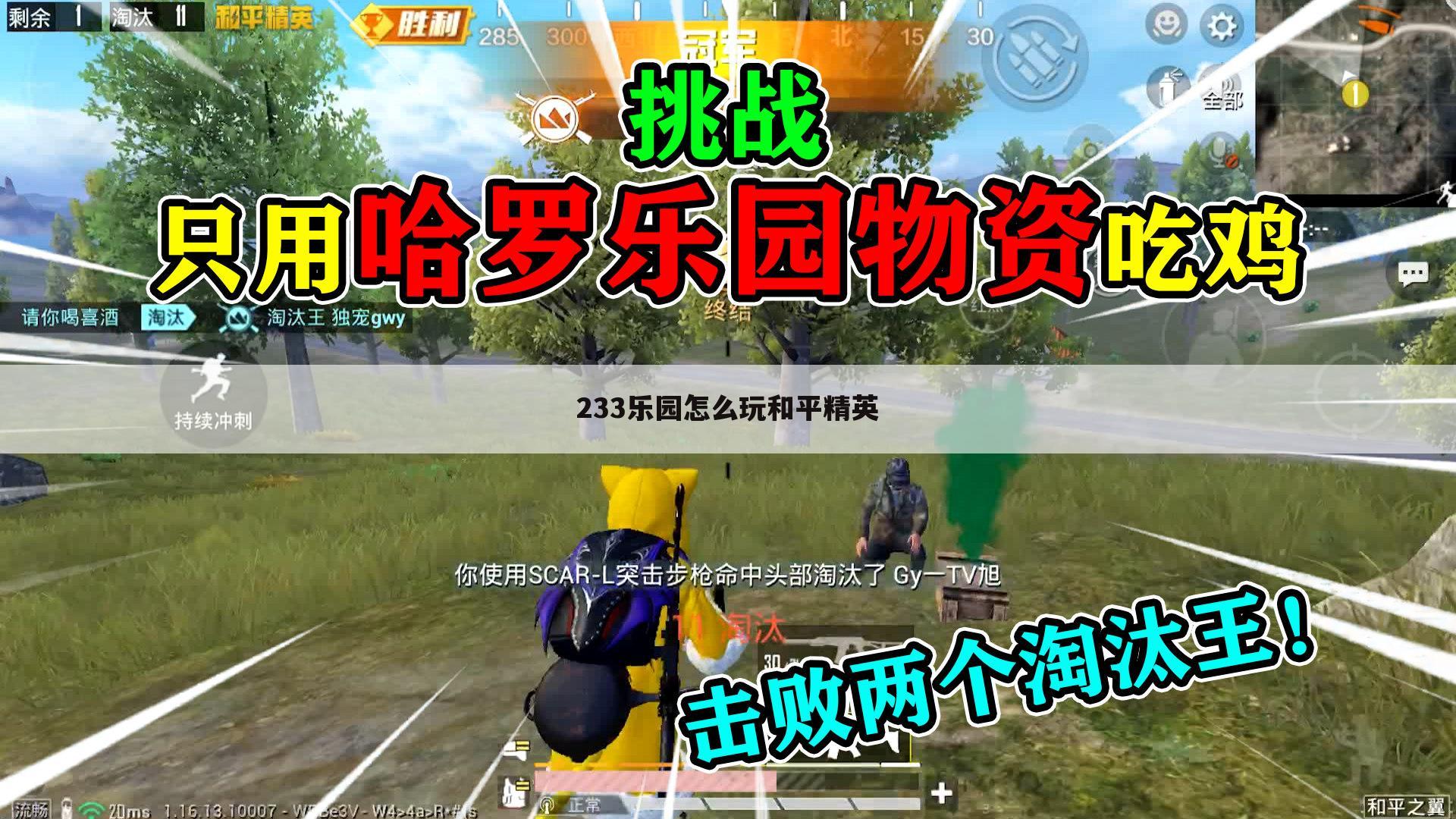 233乐园怎么玩和平精英