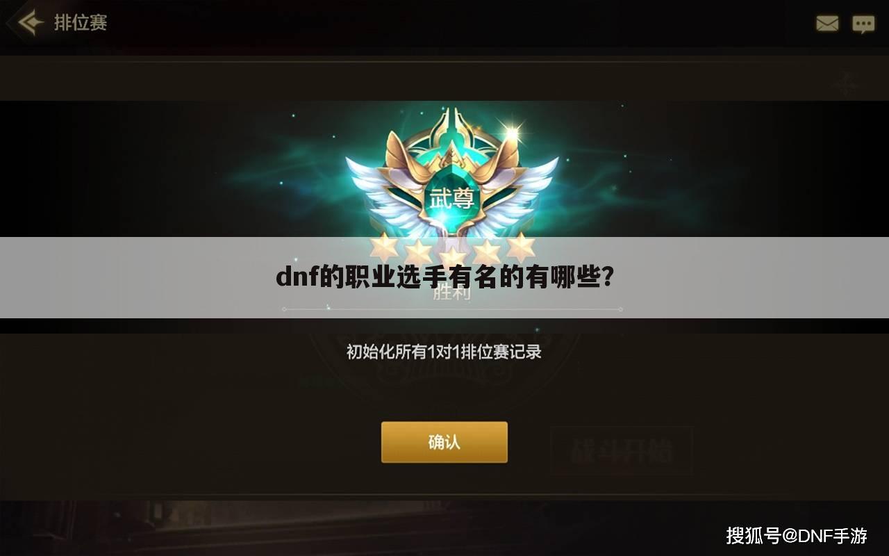 dnf的职业选手有名的有哪些?