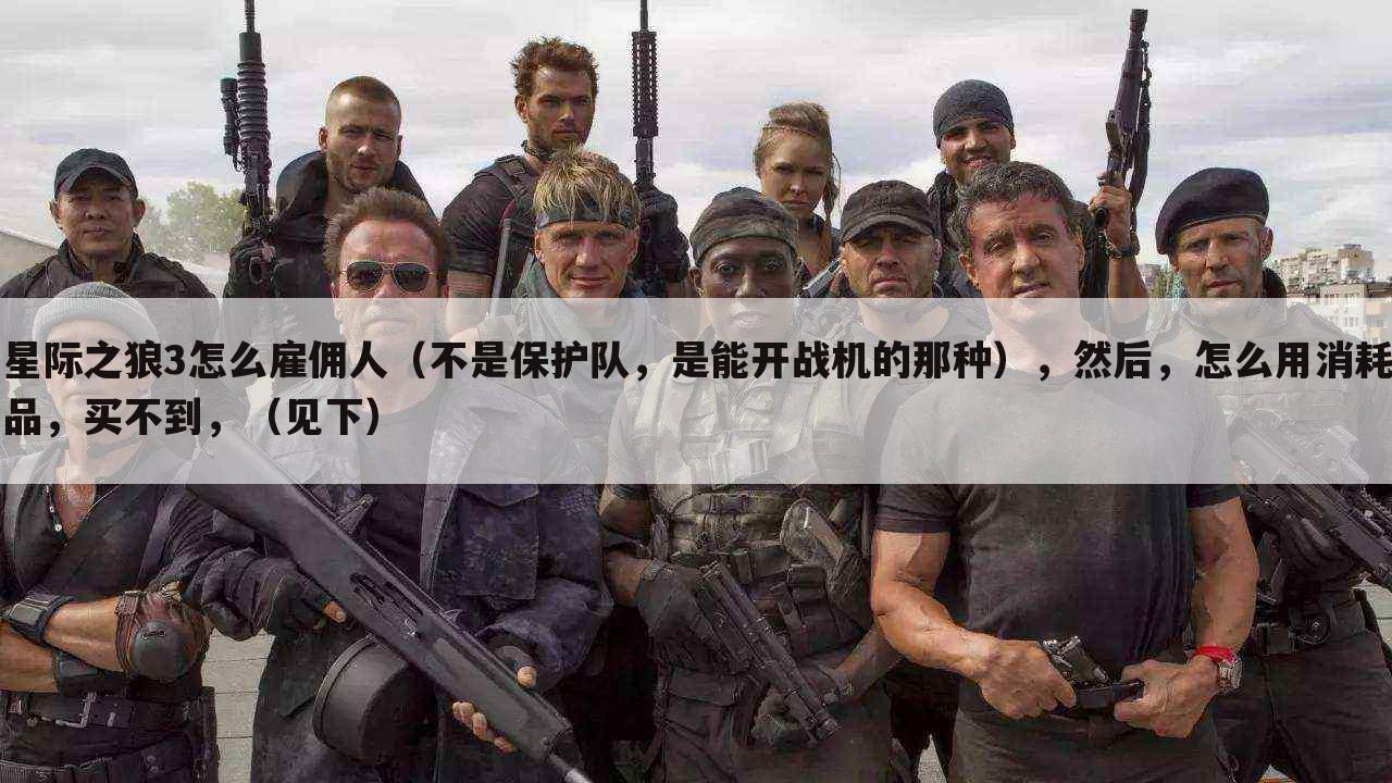 星际之狼3怎么雇佣人（不是保护队，是能开战机的那种），然后，怎么用消耗品，买不到，（见下）