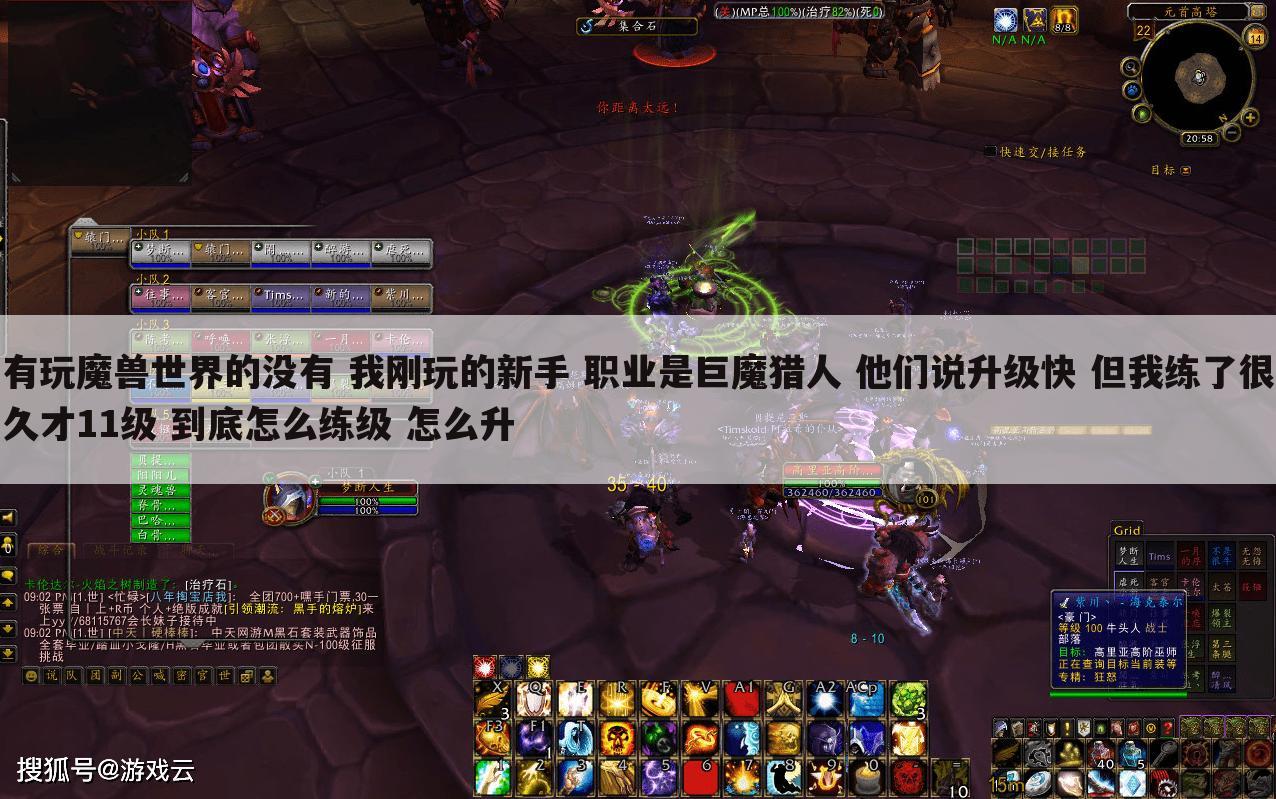 有玩魔兽世界的没有 我刚玩的新手 职业是巨魔猎人 他们说升级快 但我练了很久才11级 到底怎么练级 怎么升