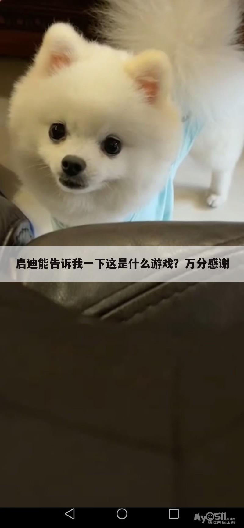 启迪能告诉我一下这是什么游戏？万分感谢