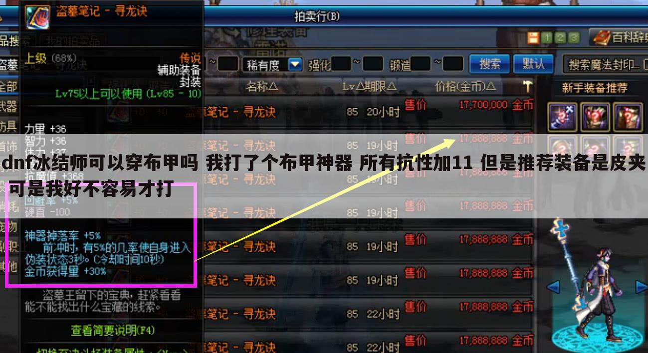 dnf冰结师可以穿布甲吗 我打了个布甲神器 所有抗性加11 但是推荐装备是皮夹 可是我好不容易才打