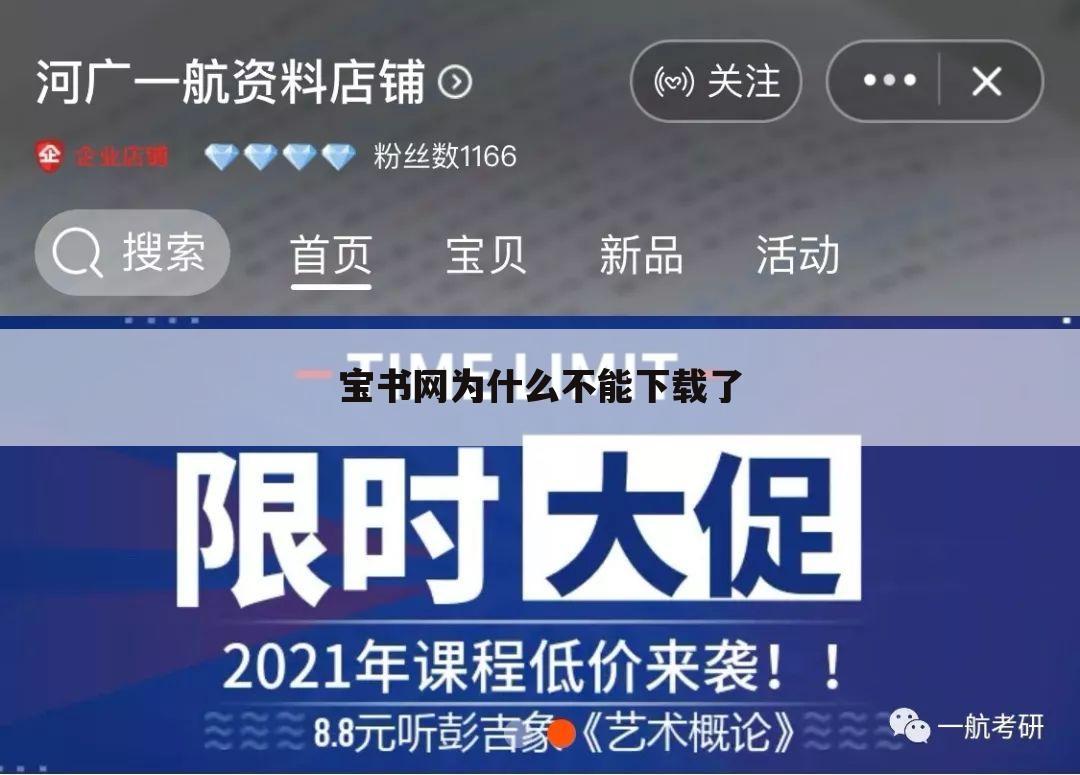 宝书网为什么不能下载了