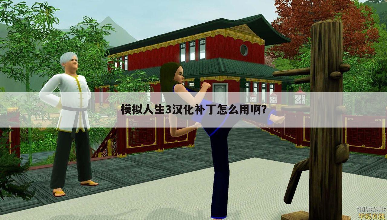 模拟人生3汉化补丁怎么用啊?