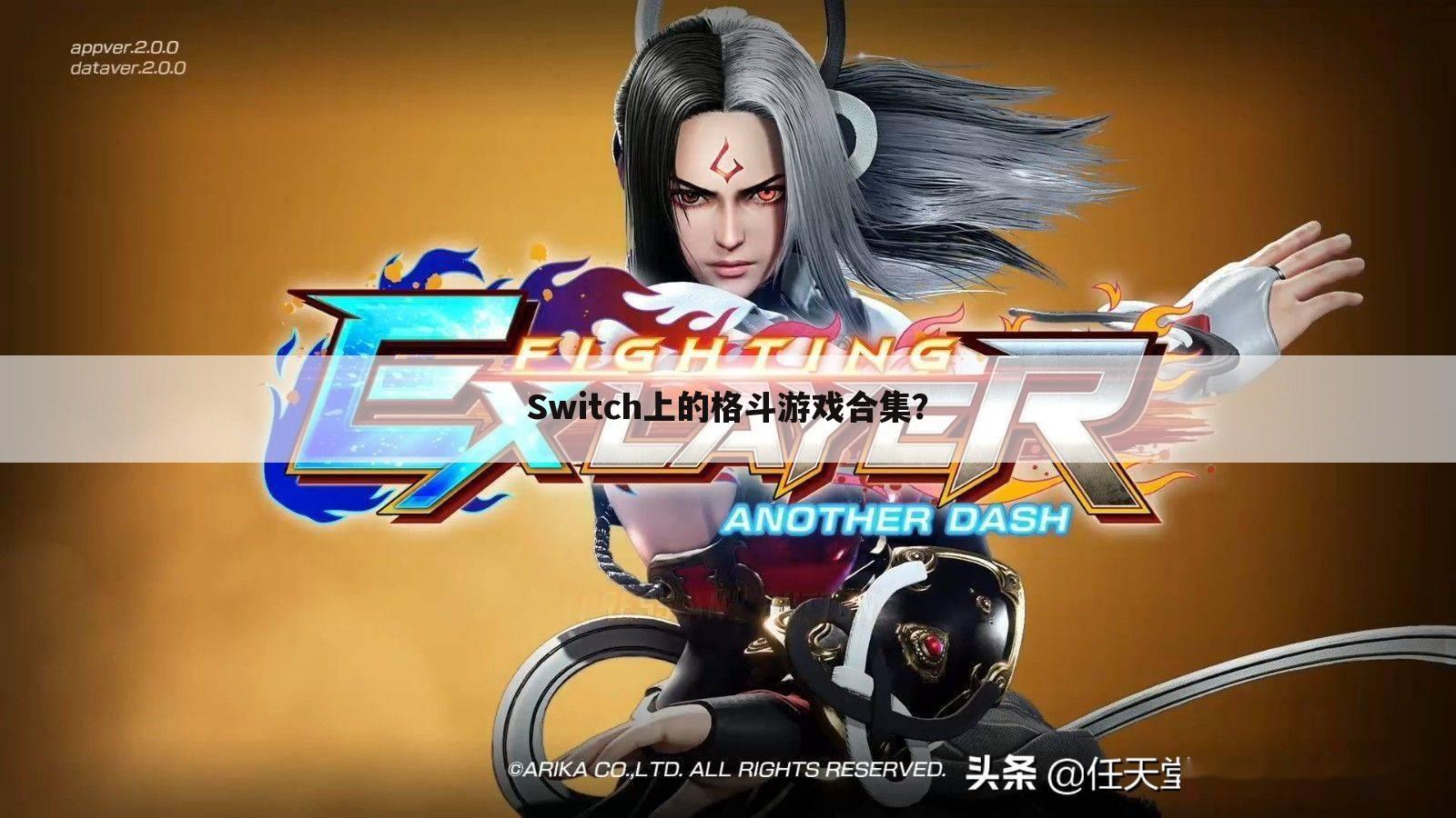 Switch上的格斗游戏合集?