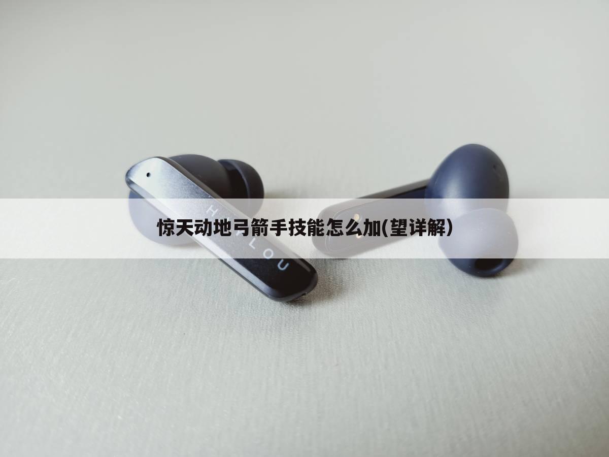 惊天动地弓箭手技能怎么加(望详解)