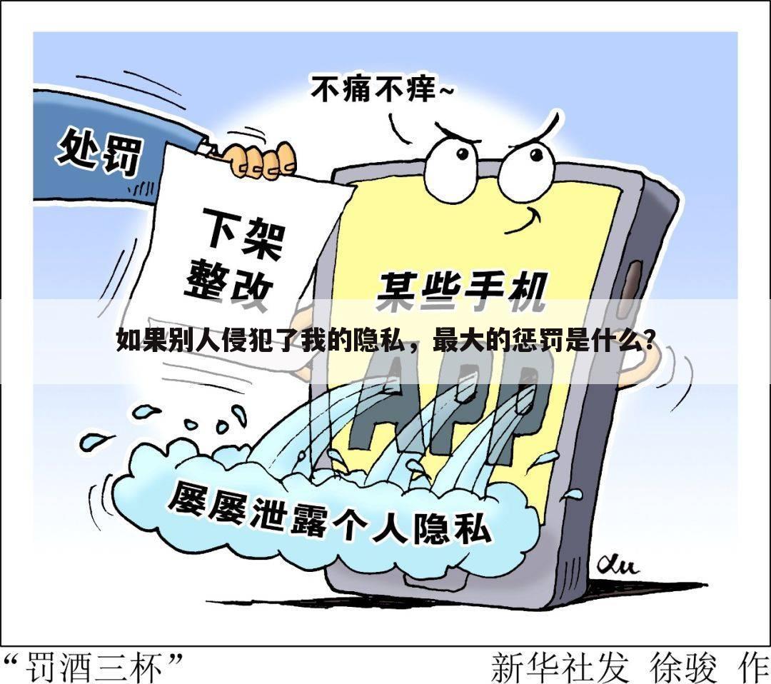 如果别人侵犯了我的隐私,最大的惩罚是什么?