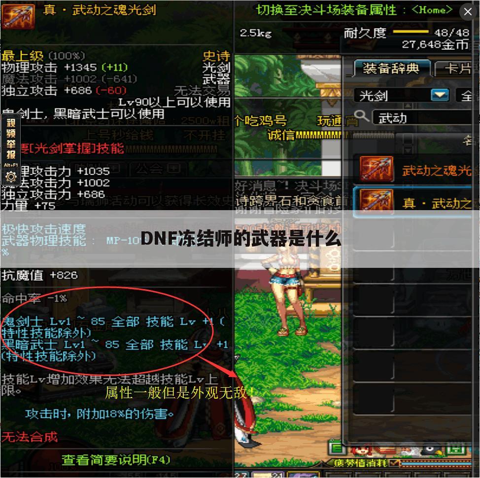 DNF冻结师的武器是什么