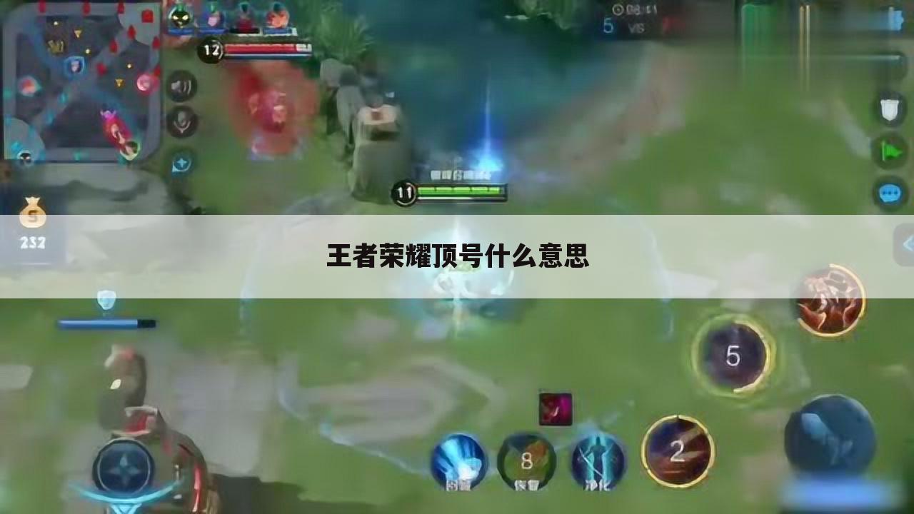 王者荣耀顶号什么意思
