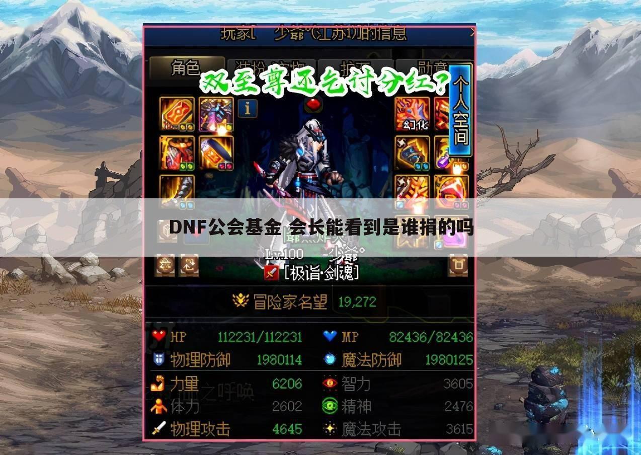 DNF公会基金 会长能看到是谁捐的吗