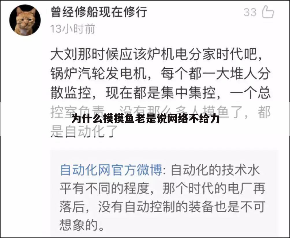 为什么摸摸鱼老是说网络不给力