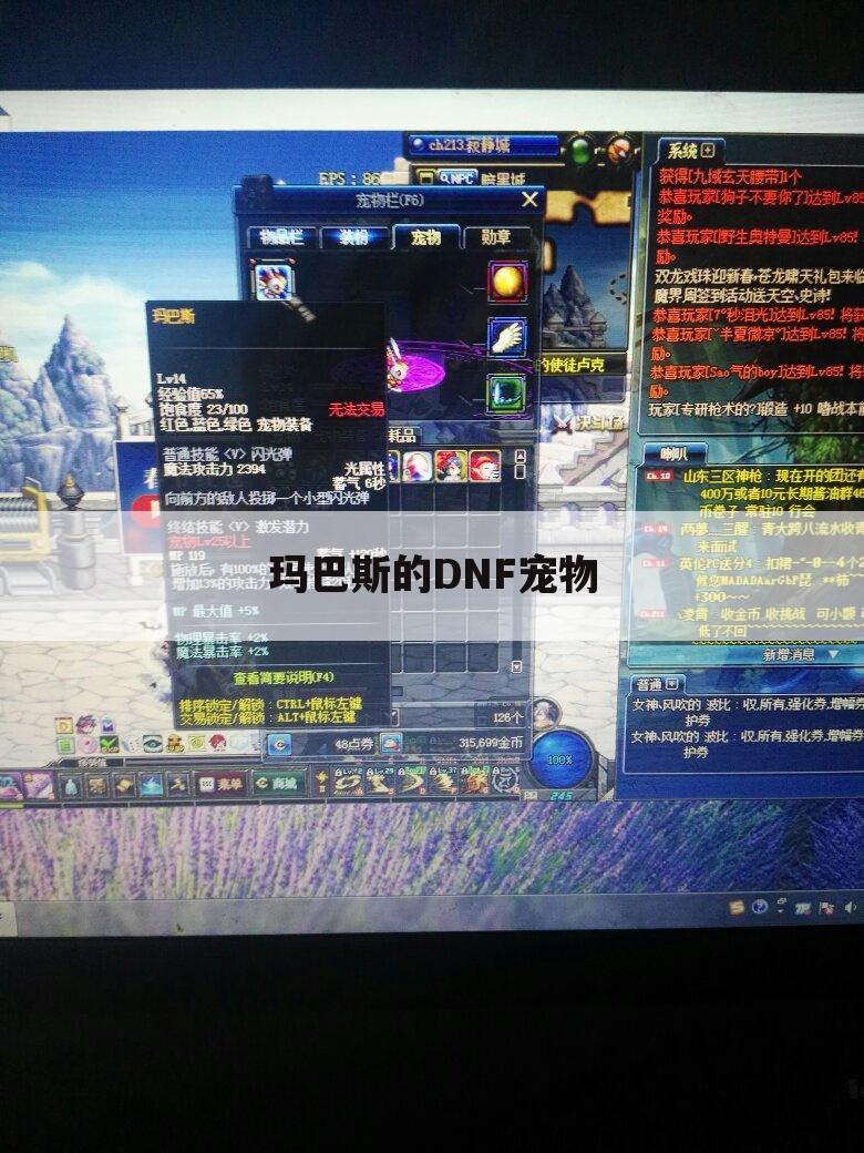 玛巴斯的DNF宠物