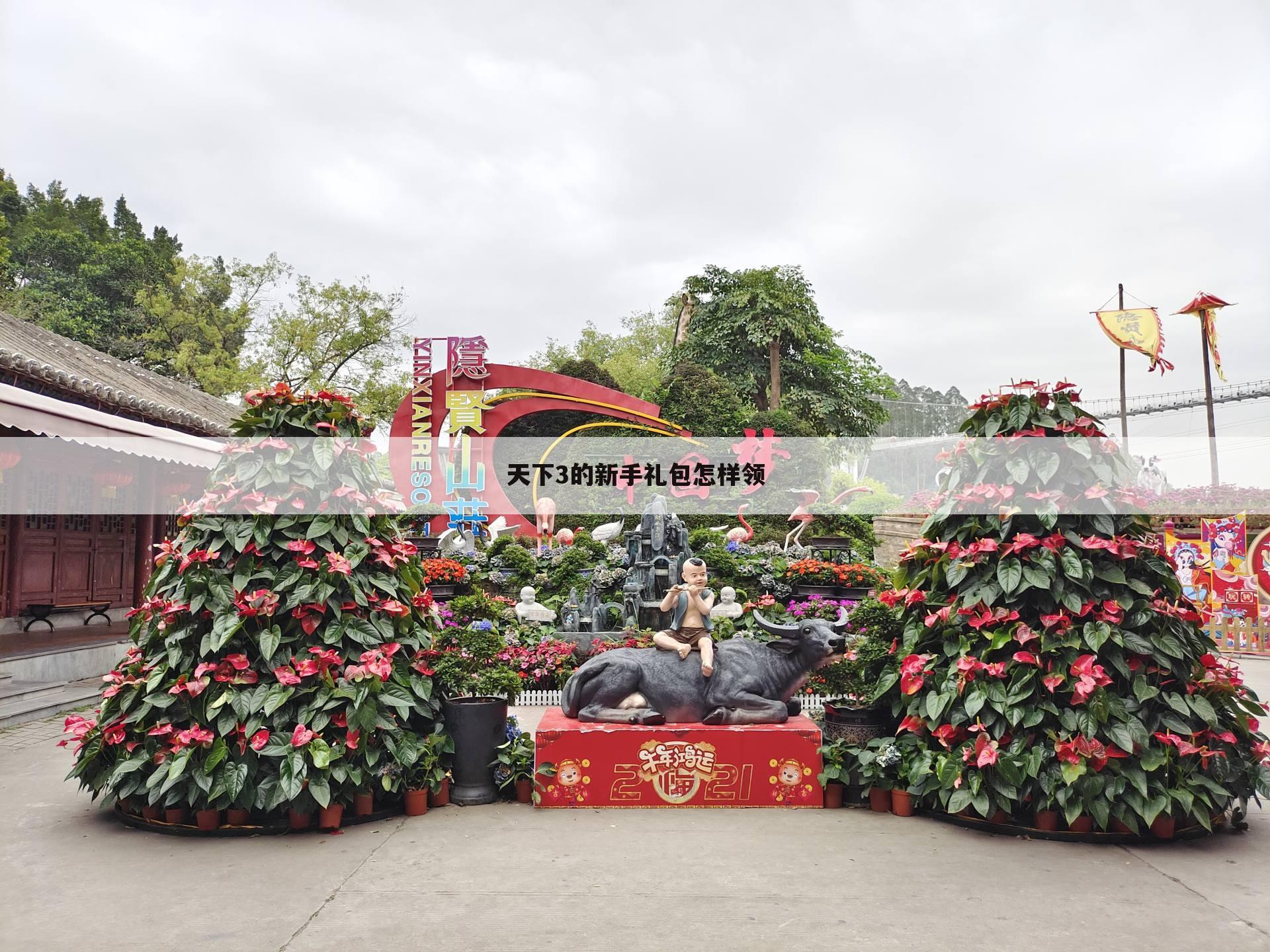 天下3的新手礼包怎样领