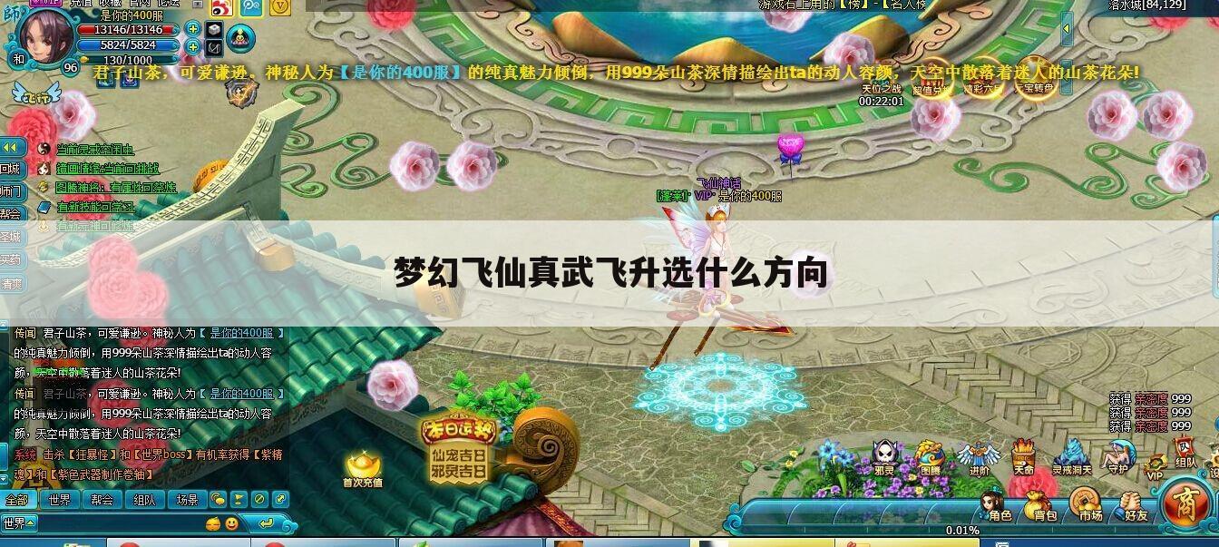 梦幻飞仙真武飞升选什么方向