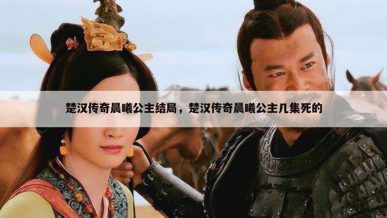 楚汉传奇晨曦公主结局,楚汉传奇晨曦公主几集死的