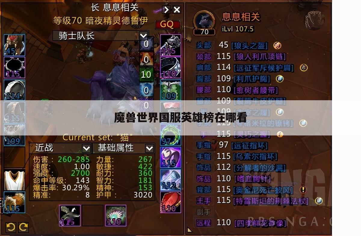 魔兽世界国服英雄榜在哪看
