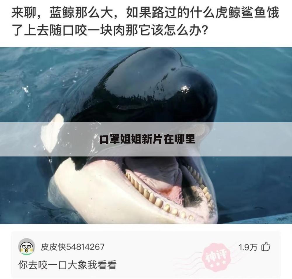 口罩姐姐新片在哪里