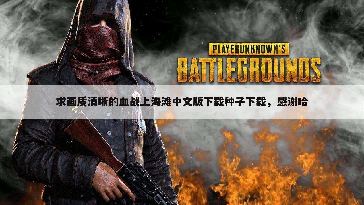 求画质清晰的血战上海滩中文版下载种子下载,感谢哈