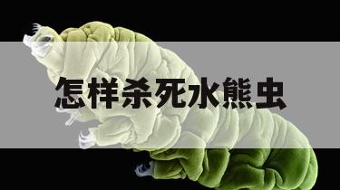 怎样杀死水熊虫