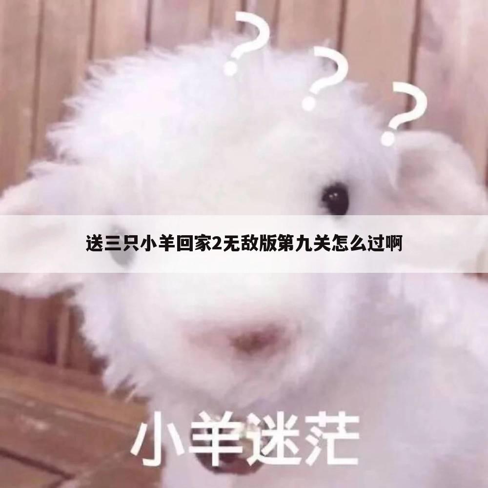 送三只小羊回家2无敌版第九关怎么过啊