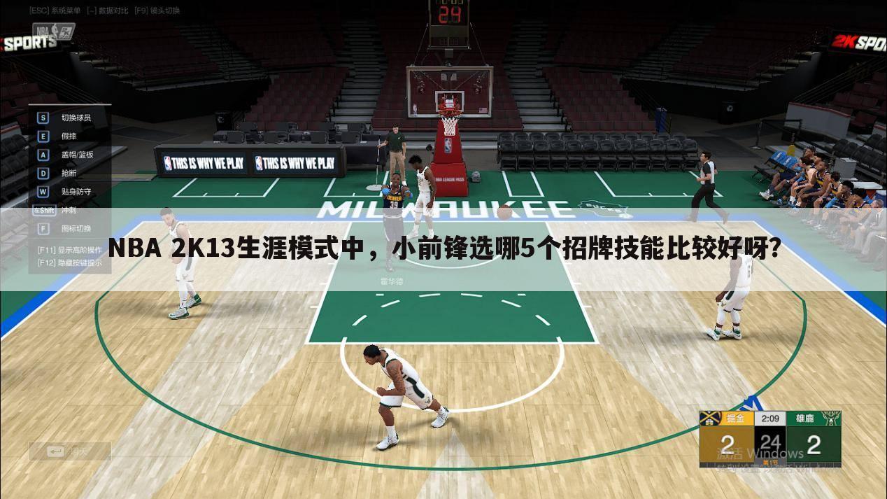 NBA 2K13生涯模式中，小前锋选哪5个招牌技能比较好呀？