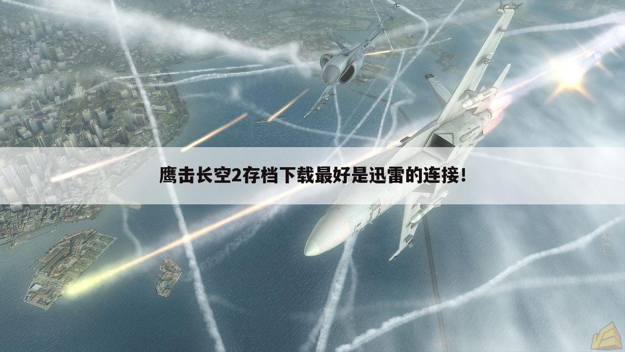 鹰击长空2存档下载最好是迅雷的连接!