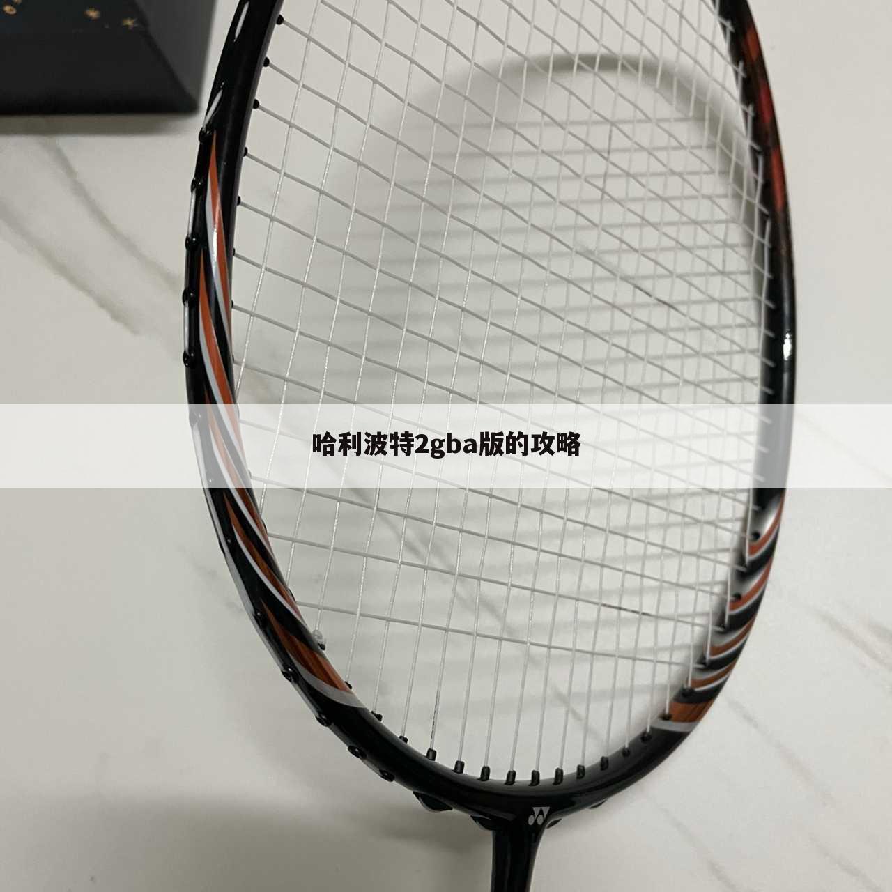 哈利波特2gba版的攻略