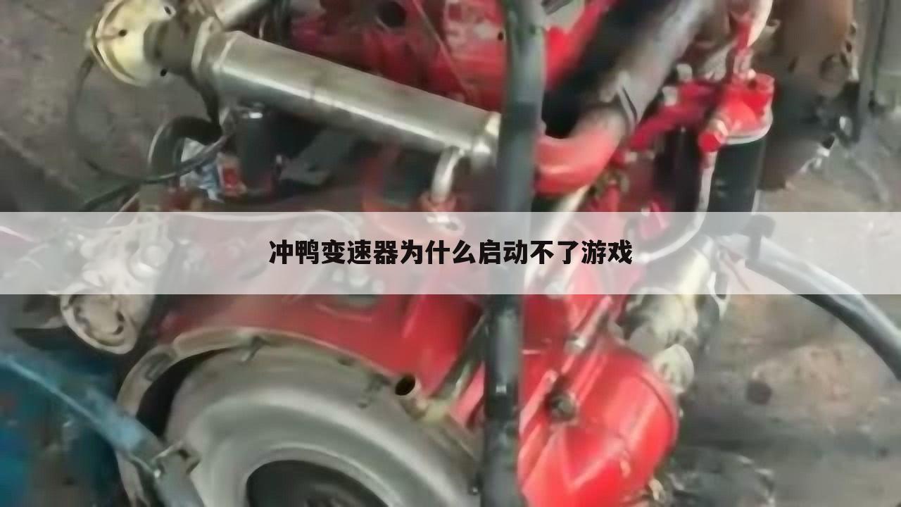 冲鸭变速器为什么启动不了游戏