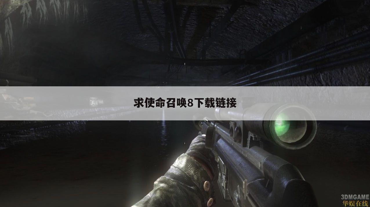 求使命召唤8下载链接