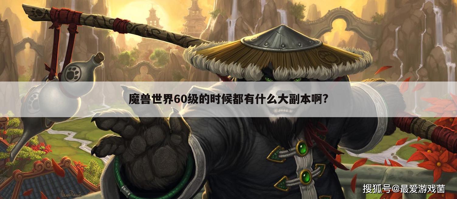 魔兽世界60级的时候都有什么大副本啊?