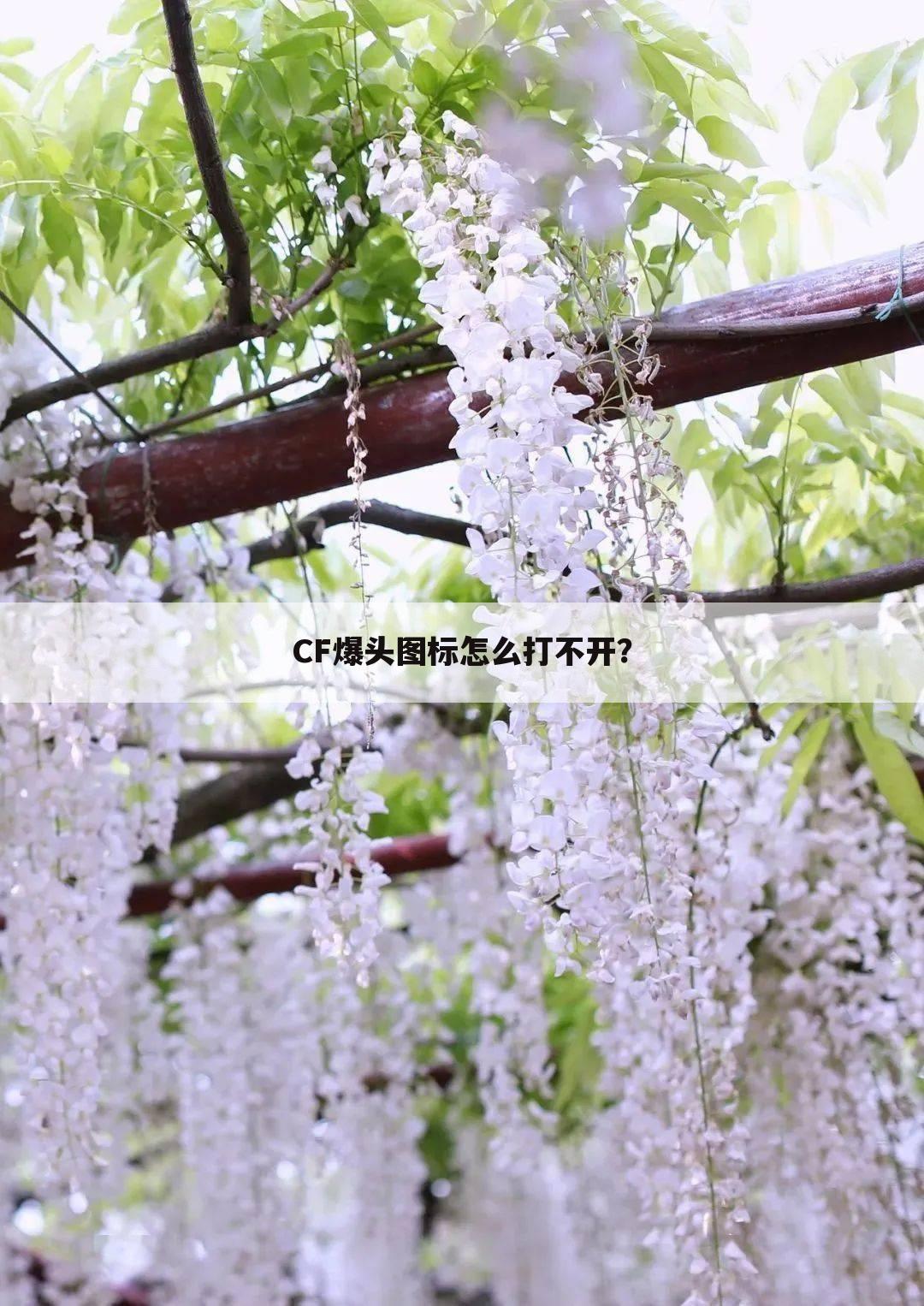 CF爆头图标怎么打不开？