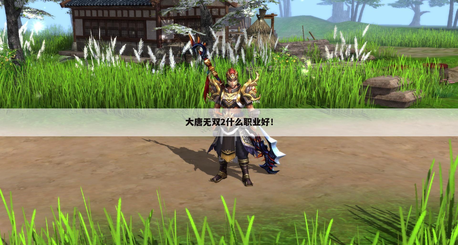 大唐无双2什么职业好!