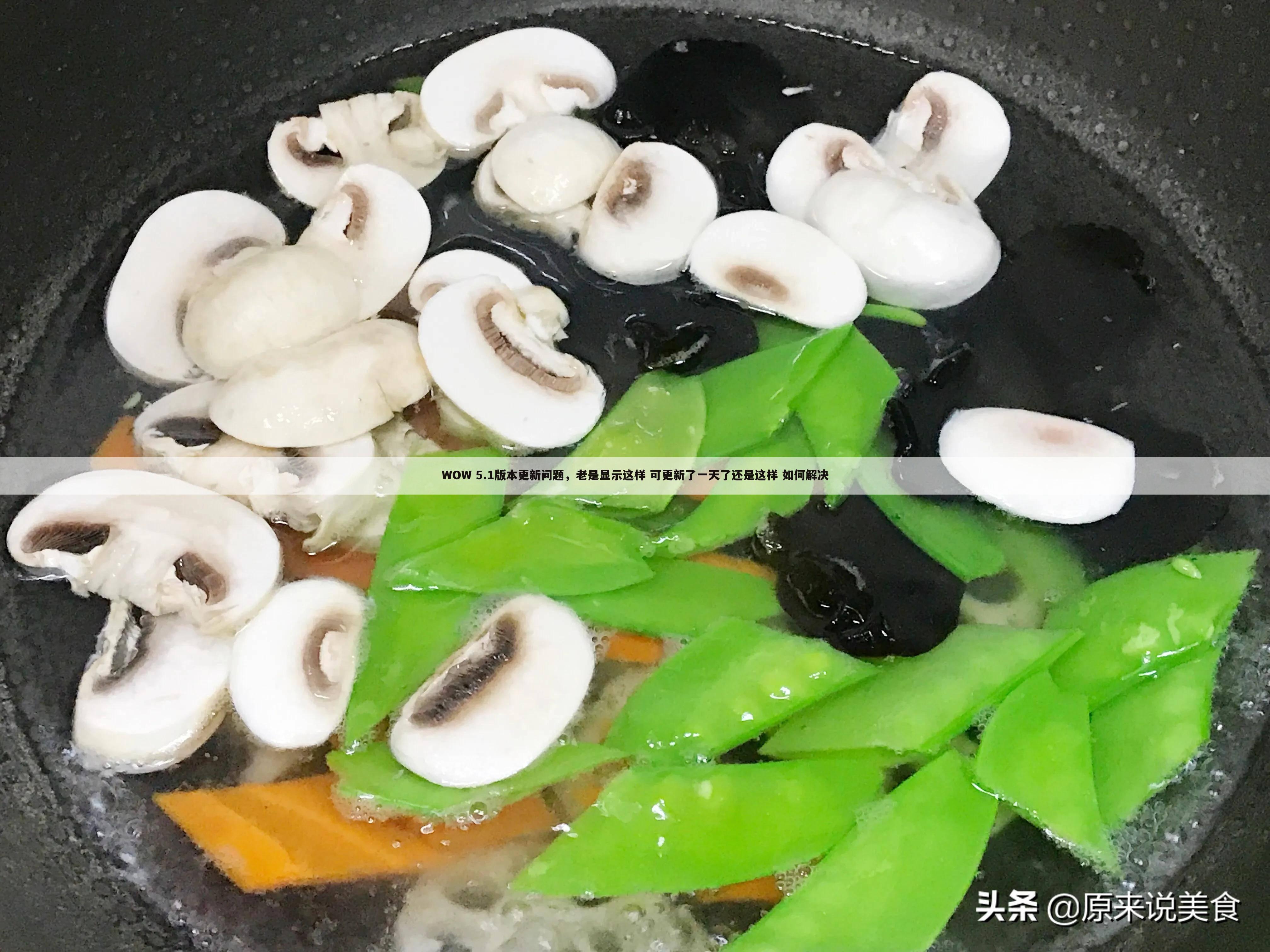 WOW 5.1版本更新问题,老是显示这样 可更新了一天了还是这样 如何解决