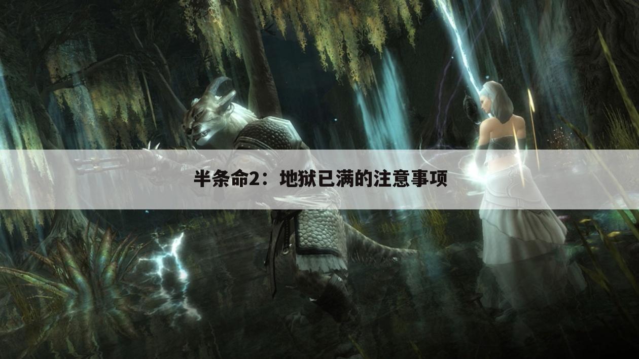 半条命2:地狱已满的注意事项
