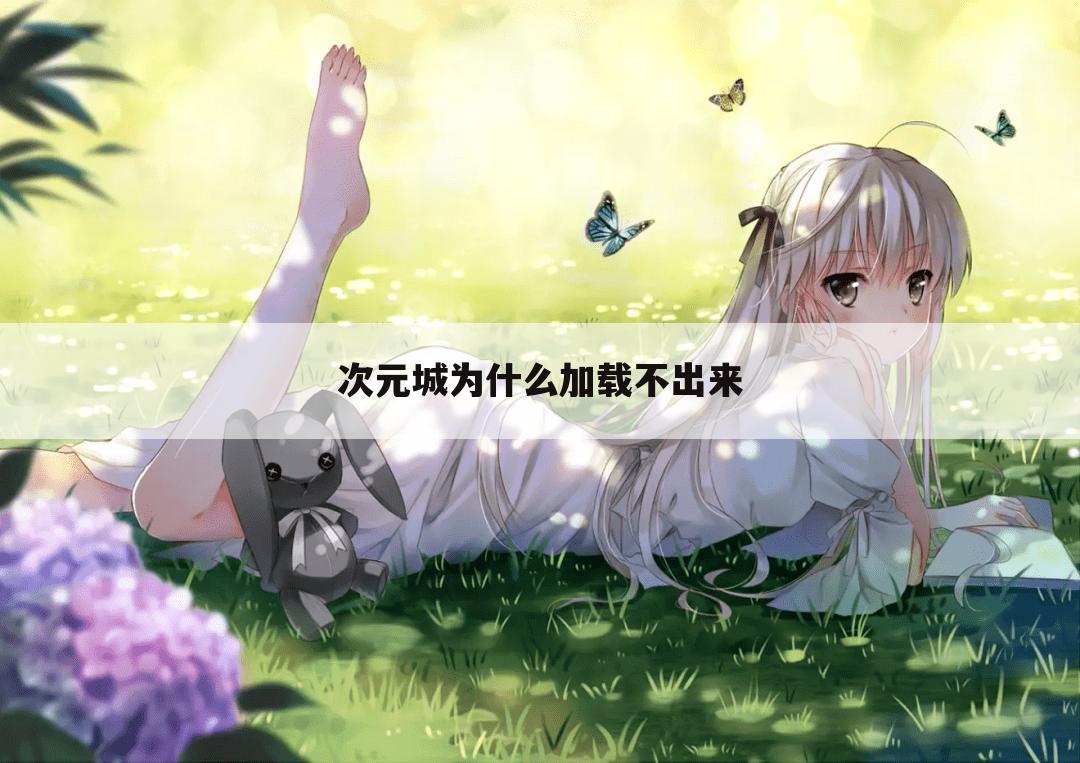 次元城为什么加载不出来