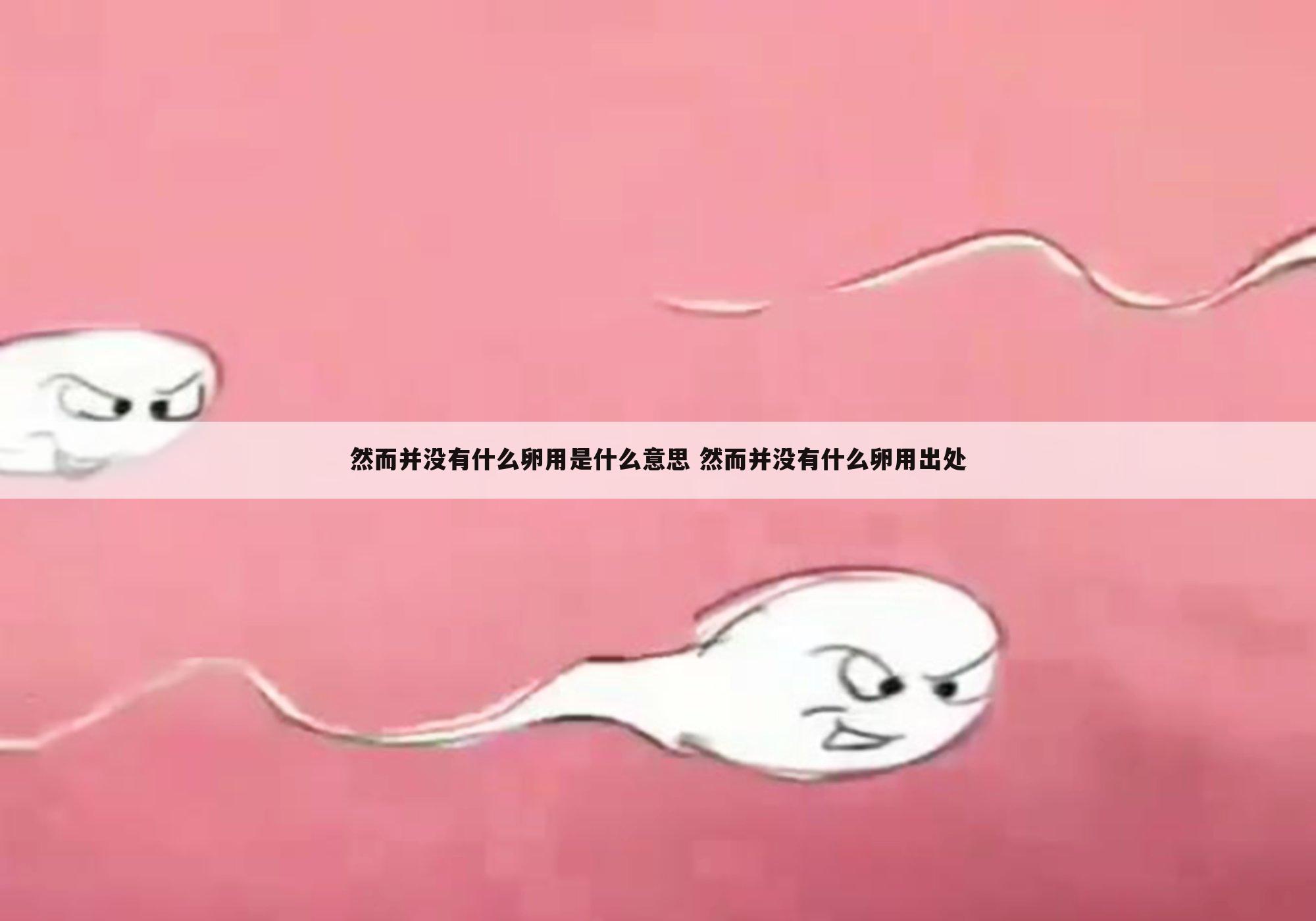 然而并没有什么卵用是什么意思 然而并没有什么卵用出处