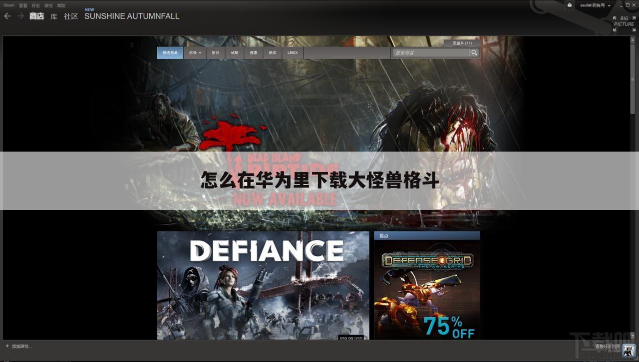 怎么在华为里下载大怪兽格斗
