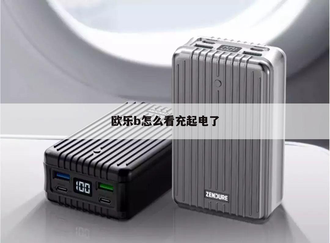 欧乐b怎么看充起电了