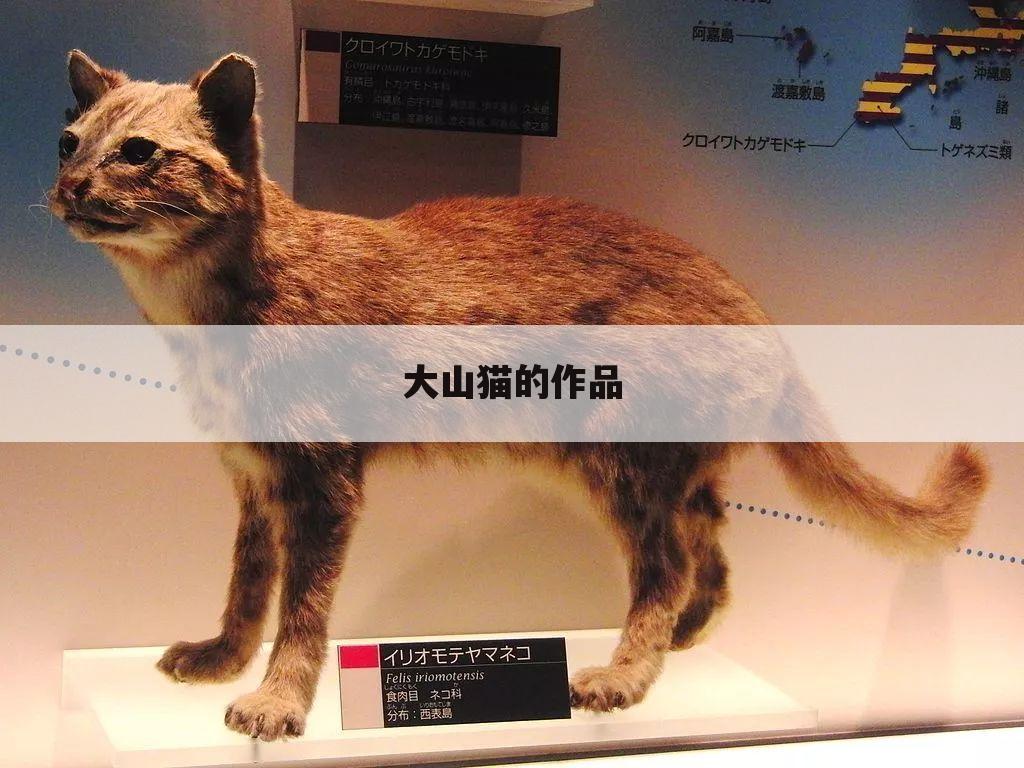 大山猫的作品