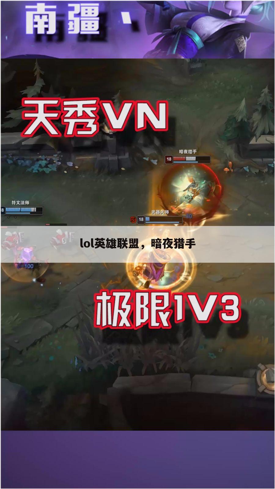 lol英雄联盟,暗夜猎手